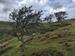 Click to go to Church Stretton page
